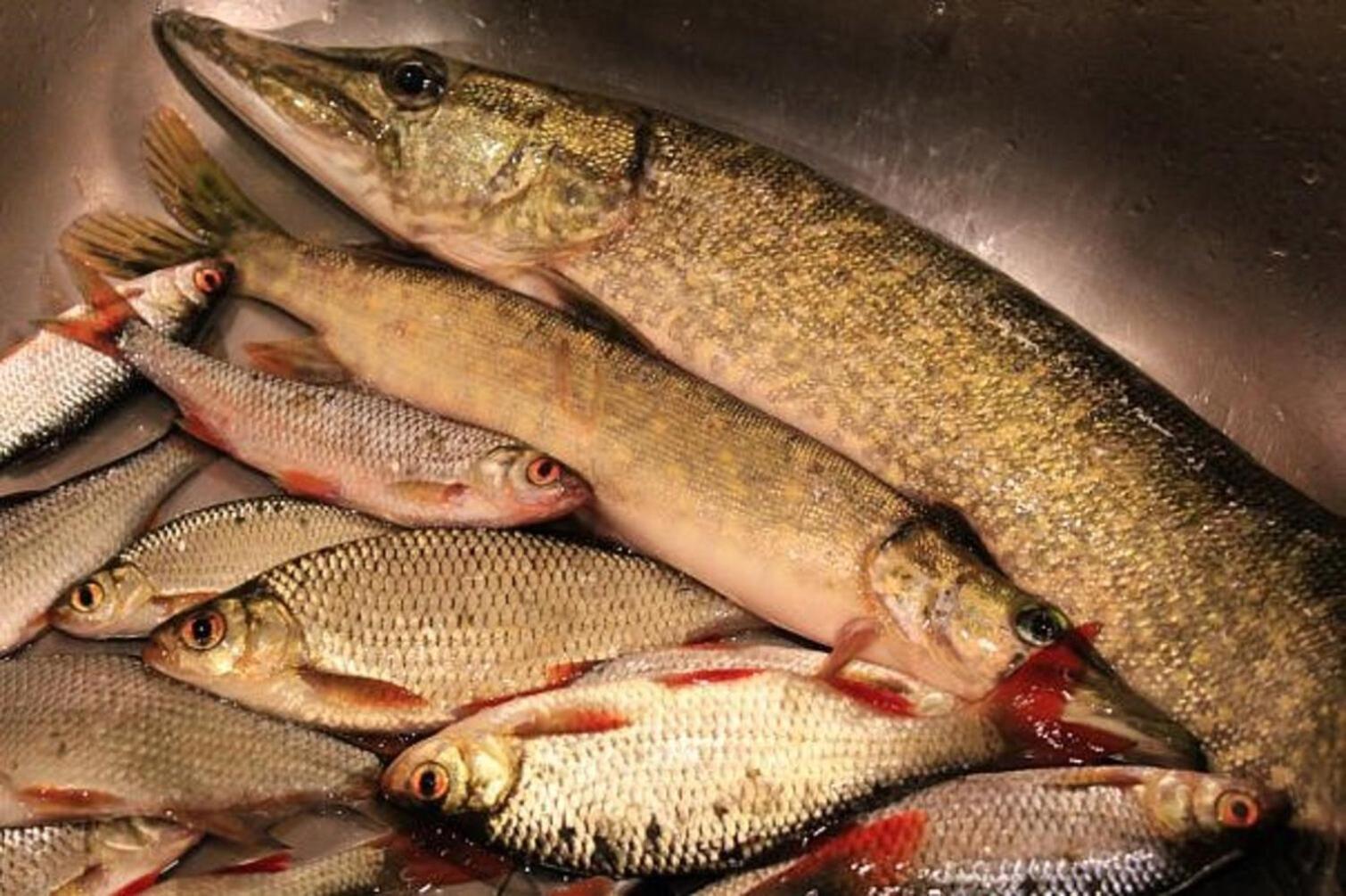 Saimaa Lakeside Ruokolahti Zewnętrze zdjęcie