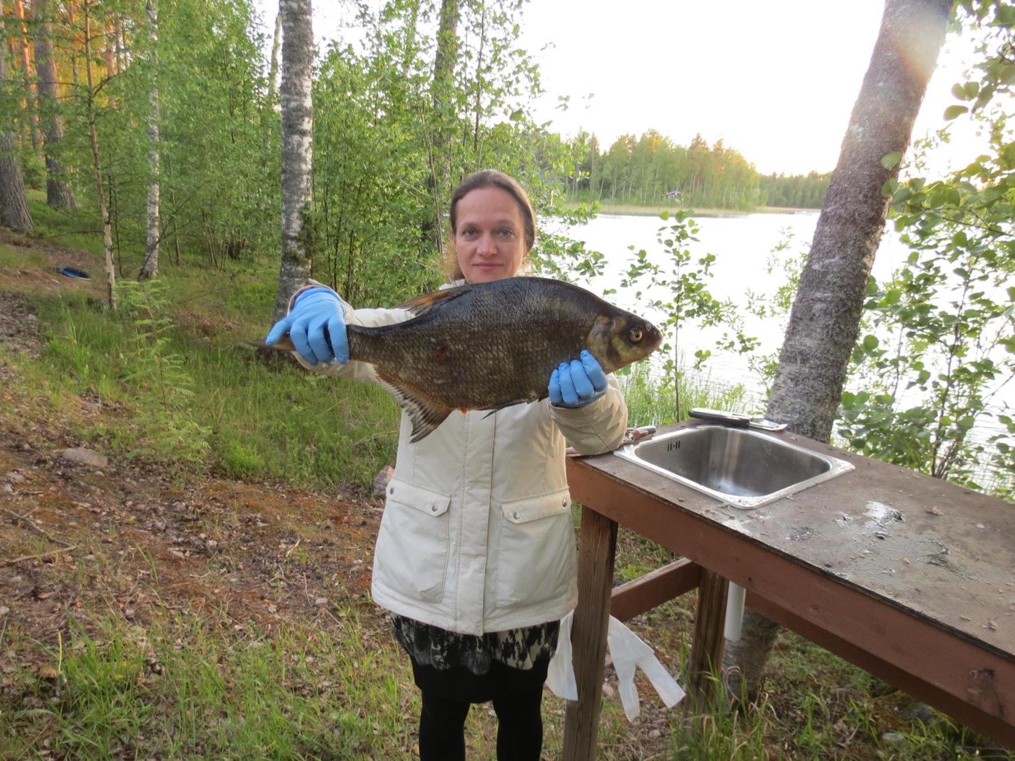 Saimaa Lakeside Ruokolahti Zewnętrze zdjęcie